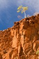 Larapinta_20080602_198 copy